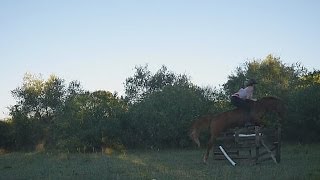 Jumping 3 ft bareback & bridleless