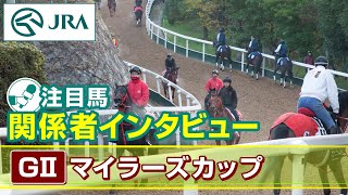 【注目馬 関係者インタビュー】2024年 マイラーズカップ｜JRA公式