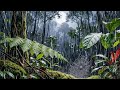 🔴 Live 🌧️ Rain Forest Night Sounds For Deep Sleep Relaxation, Peaceful Rest Throughout The Night