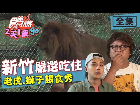 食尚玩家2天1夜go【新竹】嚴選吃住！體驗老虎.獅子餵食秀 20200715 (完整版) 納豆.曾子余