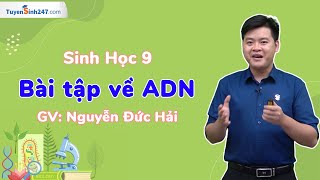 Bài tập về ADN | Sinh học 9 | GV: Nguyễn Đức Hải