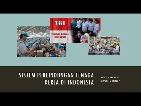 Video: Apa Itu Perlindungan Tenaga Kerja?