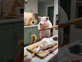 cat trapped #catvideos #cute #ytshorts #aivideo #trending #cat #catshorts #aiart #funnycatvideo