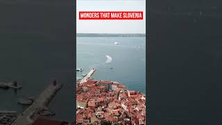 Steden van Slovenië vanuit een drone. Slovenië