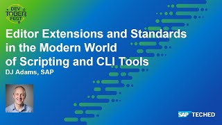 Editor Extensions and Standards in the Modern World of Scripting and CLI Tools