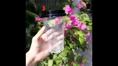 Ly nhựa nút trái tim