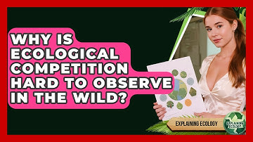 Why Is Ecological Competition Hard To Observe In The Wild? - Explaining Ecology