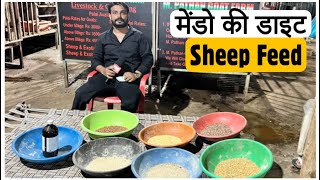 Feed For Sheep | मेंडो की डाइट by M. Pathan Goat Farm Mumbai