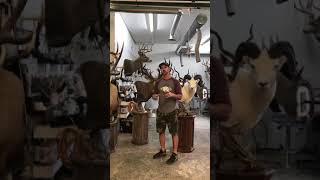 Pedestal Mounts