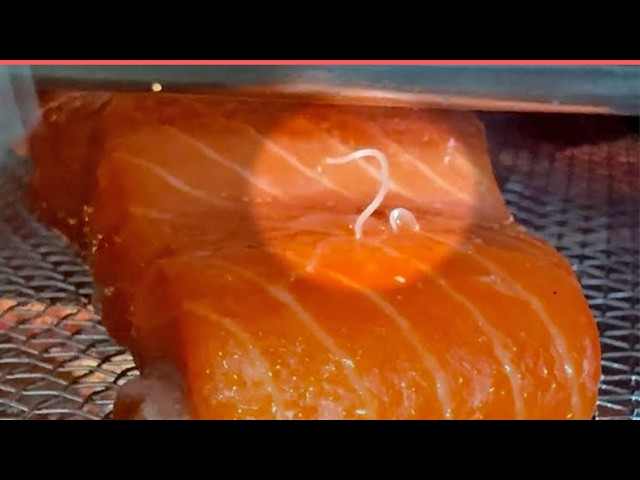 He Found WHAT in These Pieces of Salmon?! 🐟🪱
