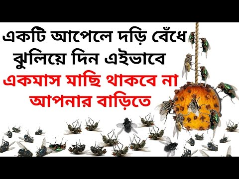 ভিডিও: কিভাবে একটি মুরগির খাঁচায় মাছি পরিত্রাণ পেতে? গ্রীষ্মে লোক প্রতিকারের সাথে কীভাবে তাদের মোকাবেলা করবেন? কিভাবে ছোট Midges চিকিত্সা?