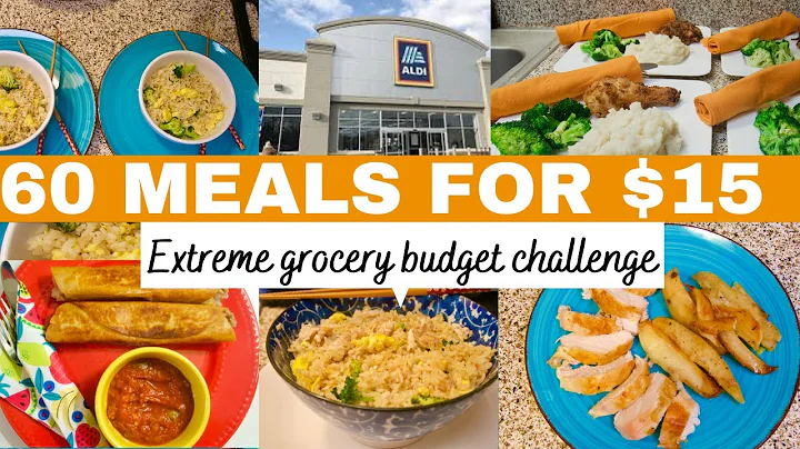 60 MEALS FOR $15 | EXTREME GROCERY BUDGET CHALLENGE
