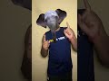 Elephant Dance 😨 How is Possible 😱😱 #elephant #dance #shorts #clips