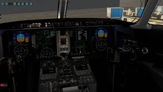 DDen Challenger 300 start up tutorial.