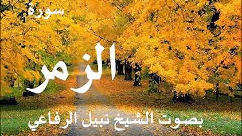 039 سورة الزمر بصوت الشيخ نبيل الرفاعي