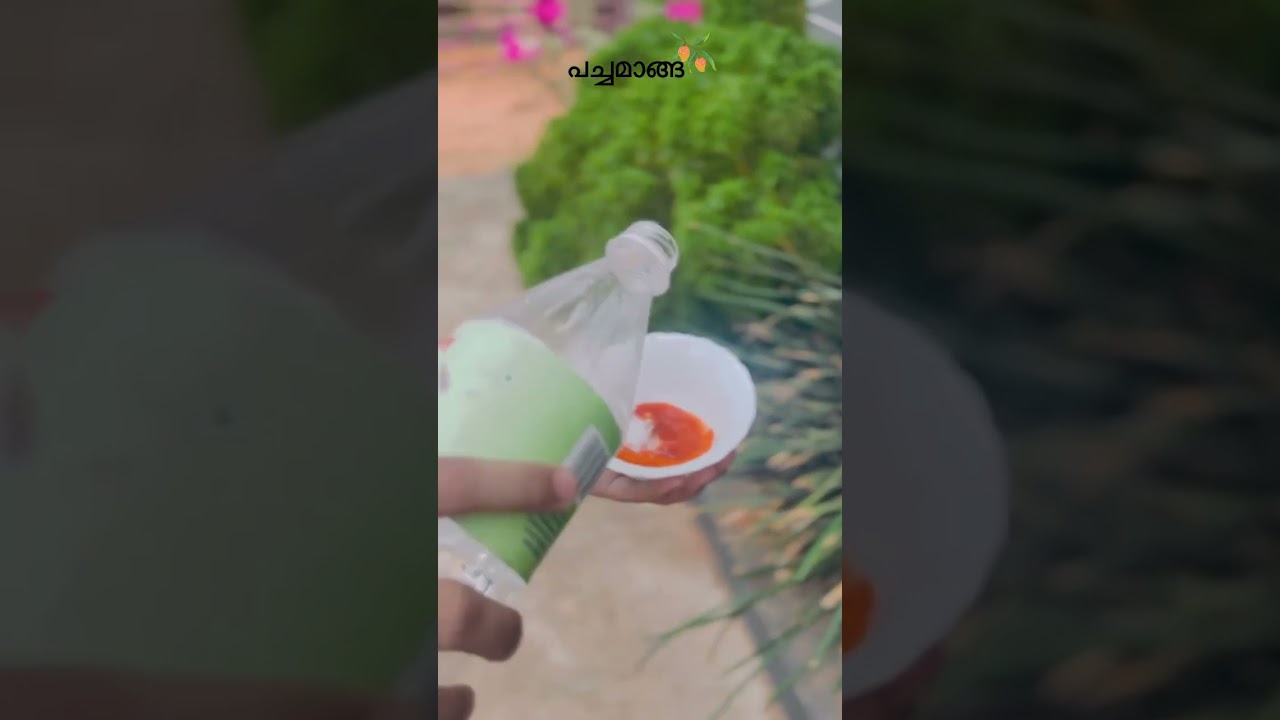 Pacha manga 🤤🤤