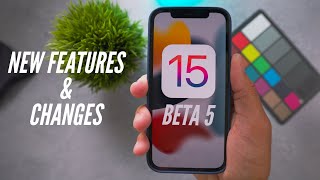 iOS 15 Beta 5 Released! What's New?