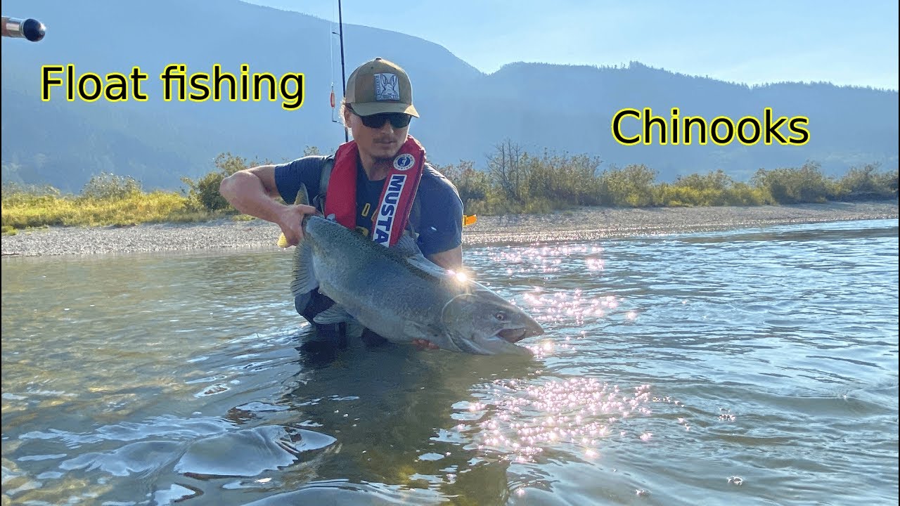 Harrison River BC Fishing for Chum, Chinooks and Coho, Oct 10, 2022 