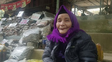 Phóng sự về Suối cá thần Cẩm Lương - Thanh Hóa