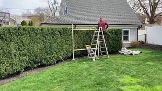 Ingenious Way to Trim a Hedge to a Straight Edge Top