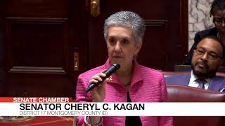 Senate Floor Session, 3/20/2025 #1