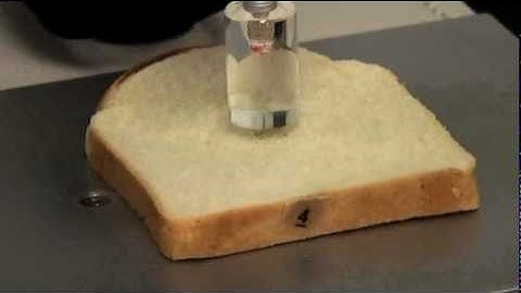 Bread Quality Testing | Campden BRI