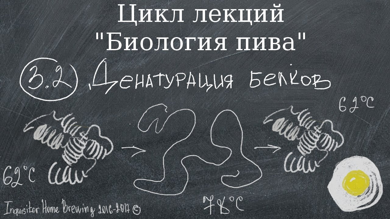 Биология пива. Часть 3.2. Денатурация белков. - YouTube