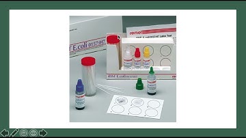 EHEC 0157:H7 Agglutination Testing