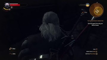 Witcher 3: Messing around in Witcher