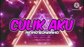 CULIK AKU (RIDHO SUNARKO) DST ENTERTAIMENT 2025 NWRMX!!!
