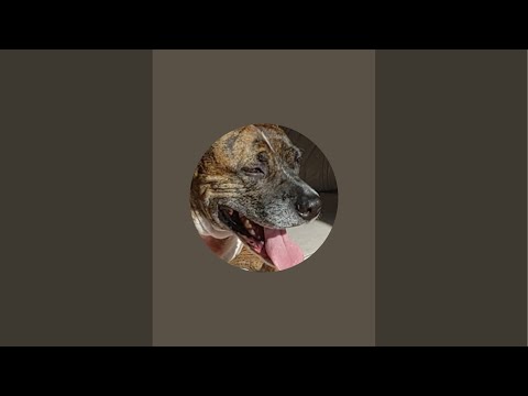 Chit chat podcast Ep. 106