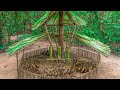 Build the most amazing Duck House with AUTOMATIC Duck Feeder for Baby Wild Ducks