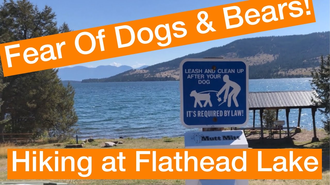 Fear Of Dogs And Bears, Oh My! Hiking At Flathead Lake In Montana. Solo Female Travel.