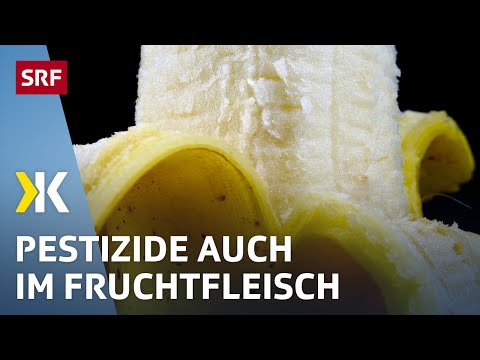 Video: Leitfaden für Bananenschädlinge und -krankheiten: Probleme mit Bananenpflanzen lösen