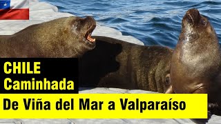 Caminhada entre Viña del Mar e Valparaíso - Chile by 2bacalhaus 649 views 5 years ago 6 minutes, 16 seconds
