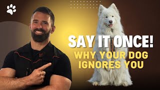 Live Q&A: Say It Once – Why Your Dog Ignores You & How to Fix It Net Worth