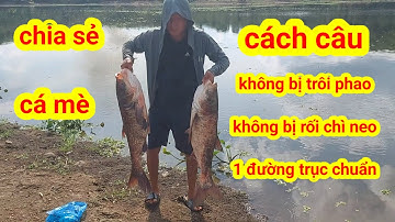 chia sẻ cách câu cá mè không bị trôi phao. không bị rối chì khi ném câu ra nhé #trongchattv #caucame