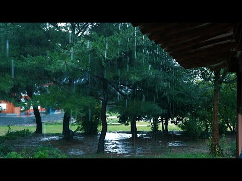 [빗소리 ASMR] 조용한 마을의 처마밑에서 듣는 차분한 빗소리. 슬로우시티의 평온함과 힐링, 수면유도