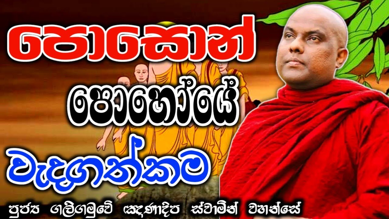 පොසොන් පොහෝයේ වැදගත්කම galigamuwe gananadeepa theru.#bana #කවි #budubana #බන #trending