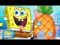 Bob Esponja | 45 MINUTOS Dentro do Abacaxi do Bob Esponja 🍍 | Português
