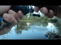 King of the river  murray cod fishing  codaddiction ep5