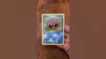 Shellder and Cloyster