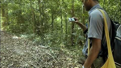 Segment 8 of 9: Monitoring Tigers - Occupancy Survey PART 2
