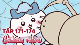 Chiikawa vietsub tập 171-175