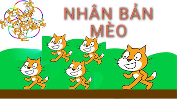 Tạo Mèo Nhân Bản Scratch Cơ Bản Trong 5 Phút
