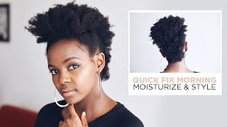 Natural Hair | Quick Fix Refresh and Style Dry Hair in the morning  | Mohawk