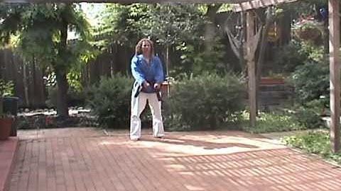 Pyung Ahn Sam Dan and Pyung Ahn Sa Dan - SMTSD