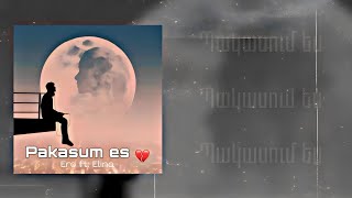 Ero ft. Elina - Pakasum Es (Official Audio)