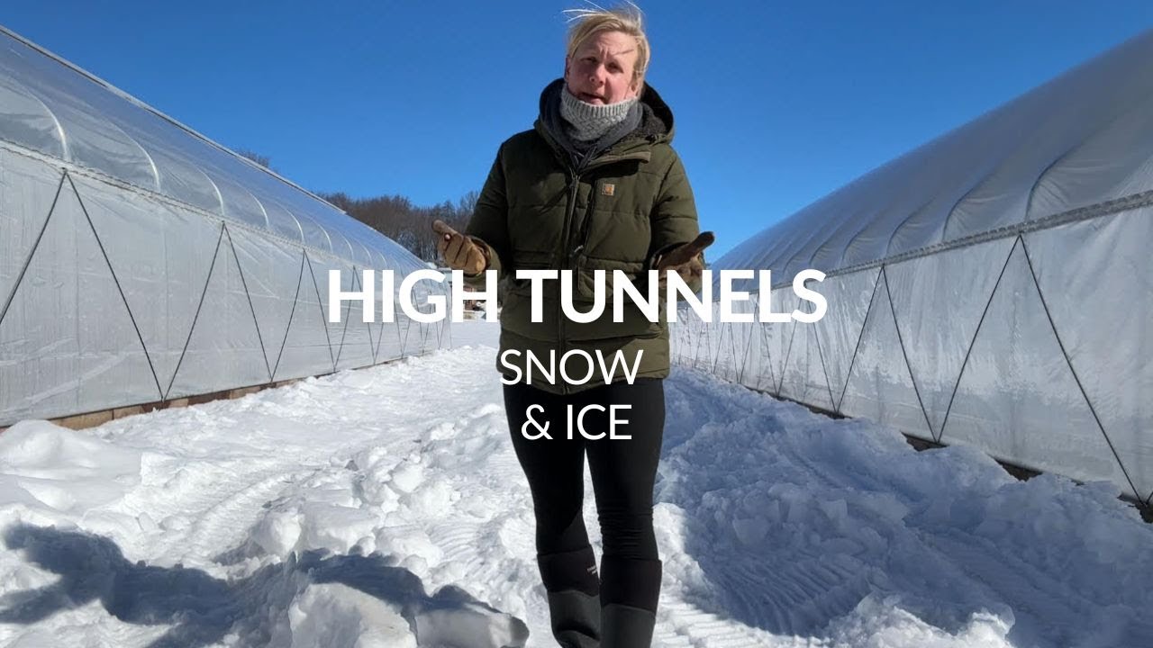 3 Tips for Managing Snow & Ice on High Tunnels - YouTube