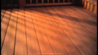 Thompson's WaterSeal: Waterproofing Deck Stain